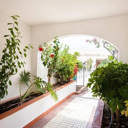 1 Bedroom For 4 People In Tenerife Lägenhet Costa Adeje (Tenerife)