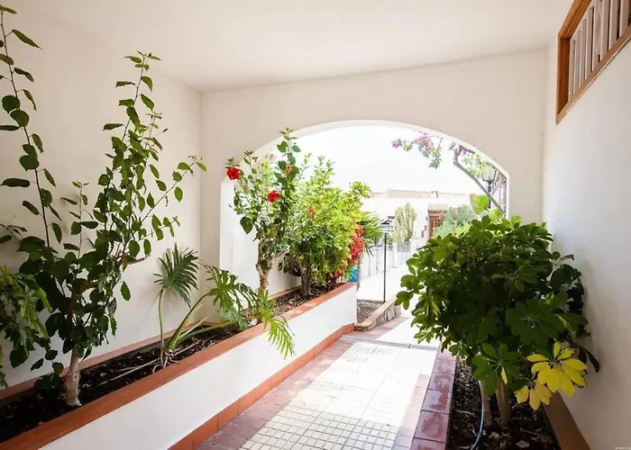 1 Bedroom For 4 People In Tenerife Lägenhet Costa Adeje (Tenerife)